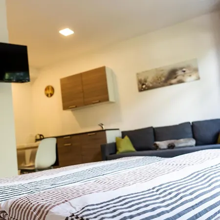 Flow Winkel Apartment Merano