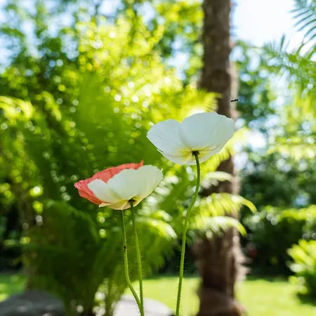 Апартаменты Flow Winkel Мерано