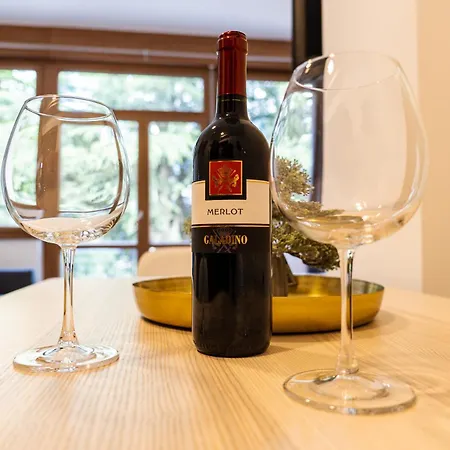Flow Winkel Apartment Merano