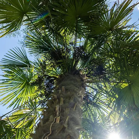 Apartment Flow Winkel Merano