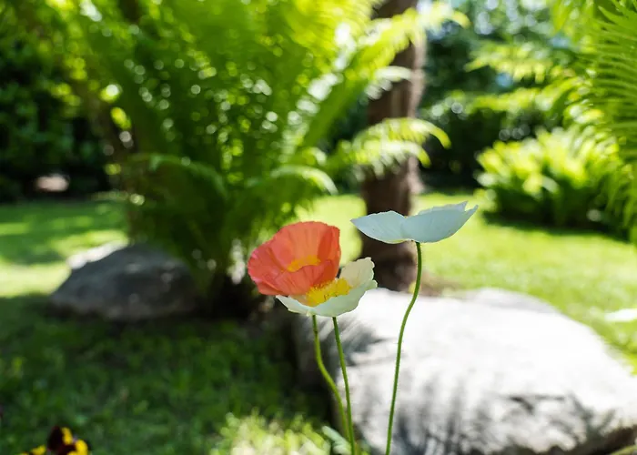 Flow Winkel Мерано