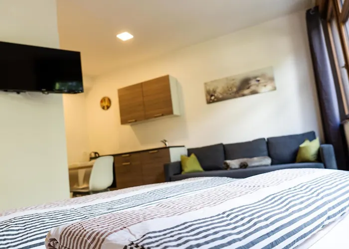 Flow Winkel 公寓 梅拉诺