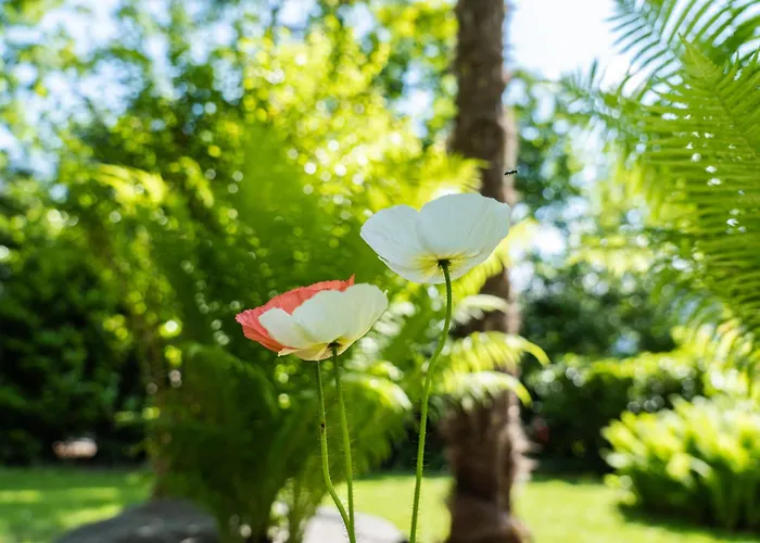 公寓 Flow Winkel 梅拉诺