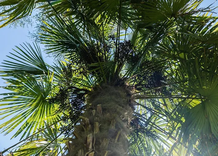 公寓 Flow Winkel 梅拉诺